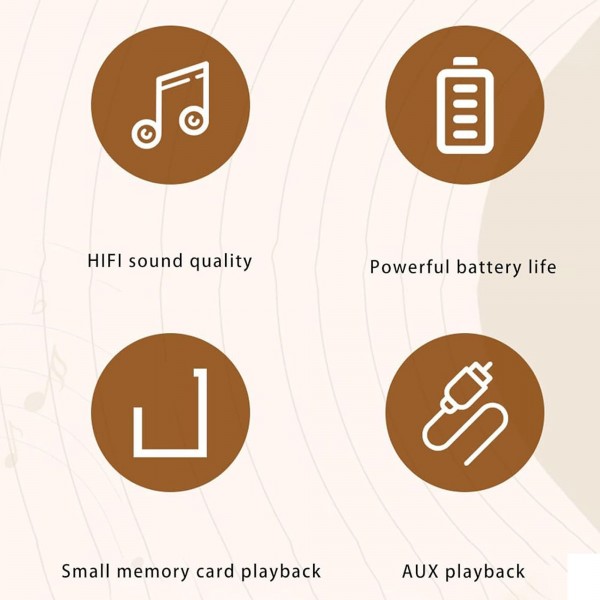 مكبر صوت  ترندي كريوكي بلوتوث مع مايك