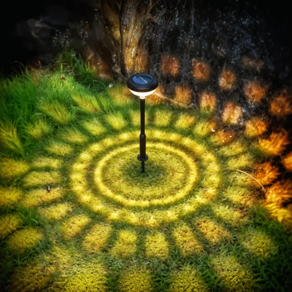 إضاءة دائرية بالطاقة الشمسية للحديقة وللشركات