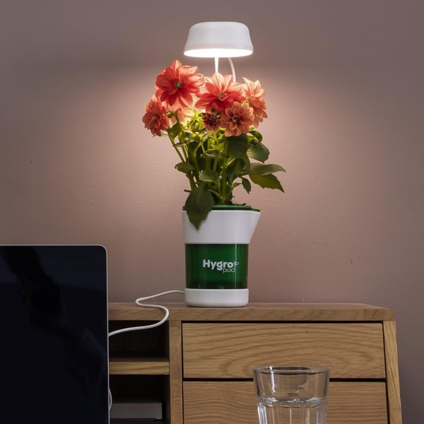 نظام زراعة مائى الحديث