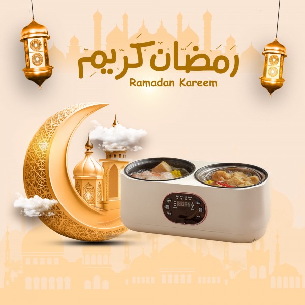 جهاز الطبخ المزدوج الكهربائي دينكس بضمان عامين