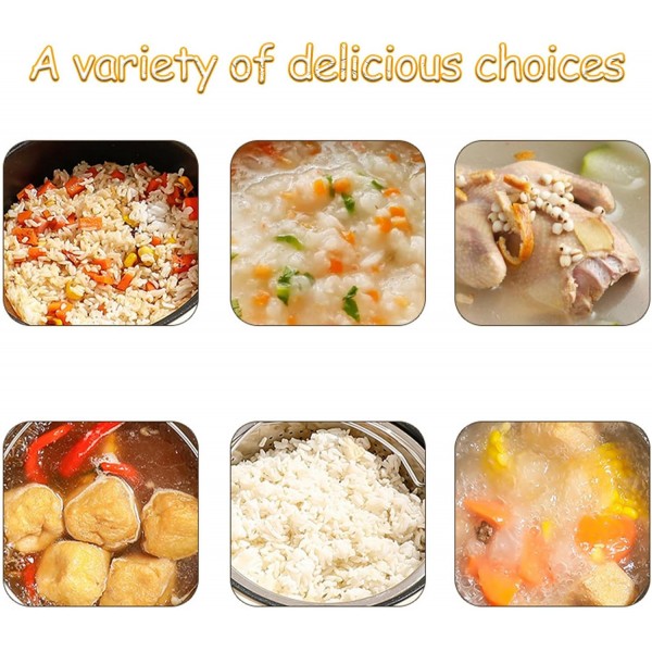 جهاز الطبخ المزدوج الكهربائي دينكس بضمان عامين