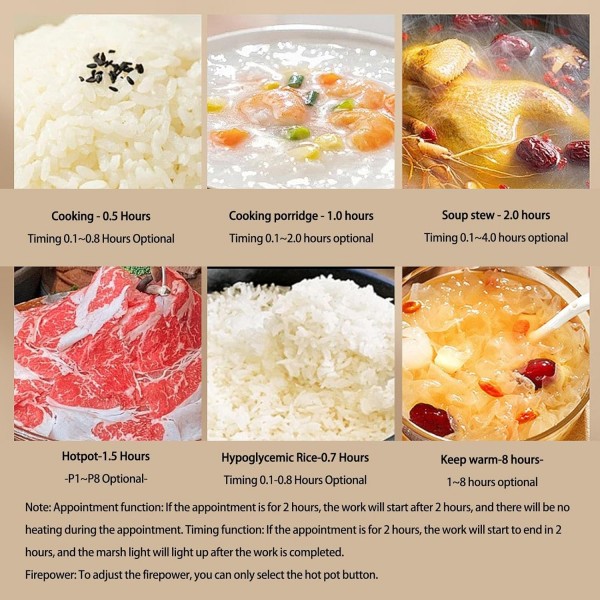 جهاز الطبخ المزدوج الكهربائي دينكس بضمان عامين