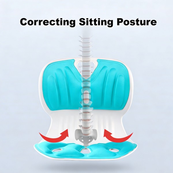 مسند ظهرمتنقل لآلام فقرات الظهر