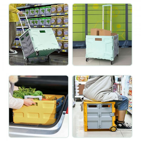 حقيبه السفاري السحرية